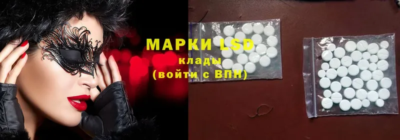 где купить наркоту  Зеленогорск  LSD-25 экстази ecstasy 